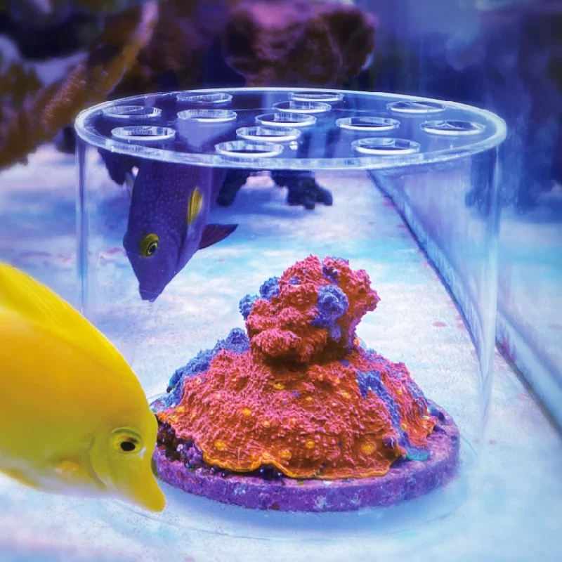Aquarium Fish Freshwater - Вафтокеанский аквариум, акриловая кормушка для кораллов,