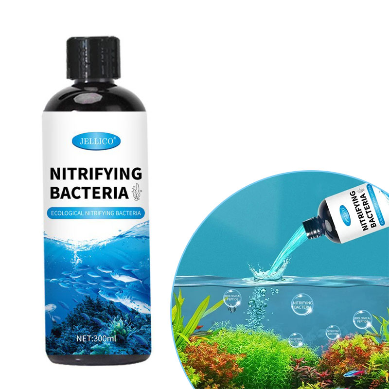 Aquarium Fish Medicine - Нитрифицирующие бактерии, жидкий аквариум, очиститель воды,