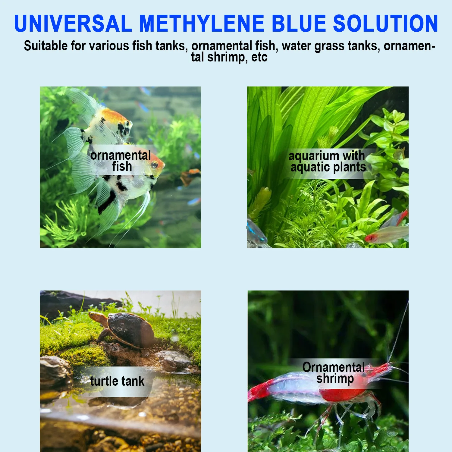 Метиленовый синий порошок для  – обзор и цена Aquarium Fish Medicine