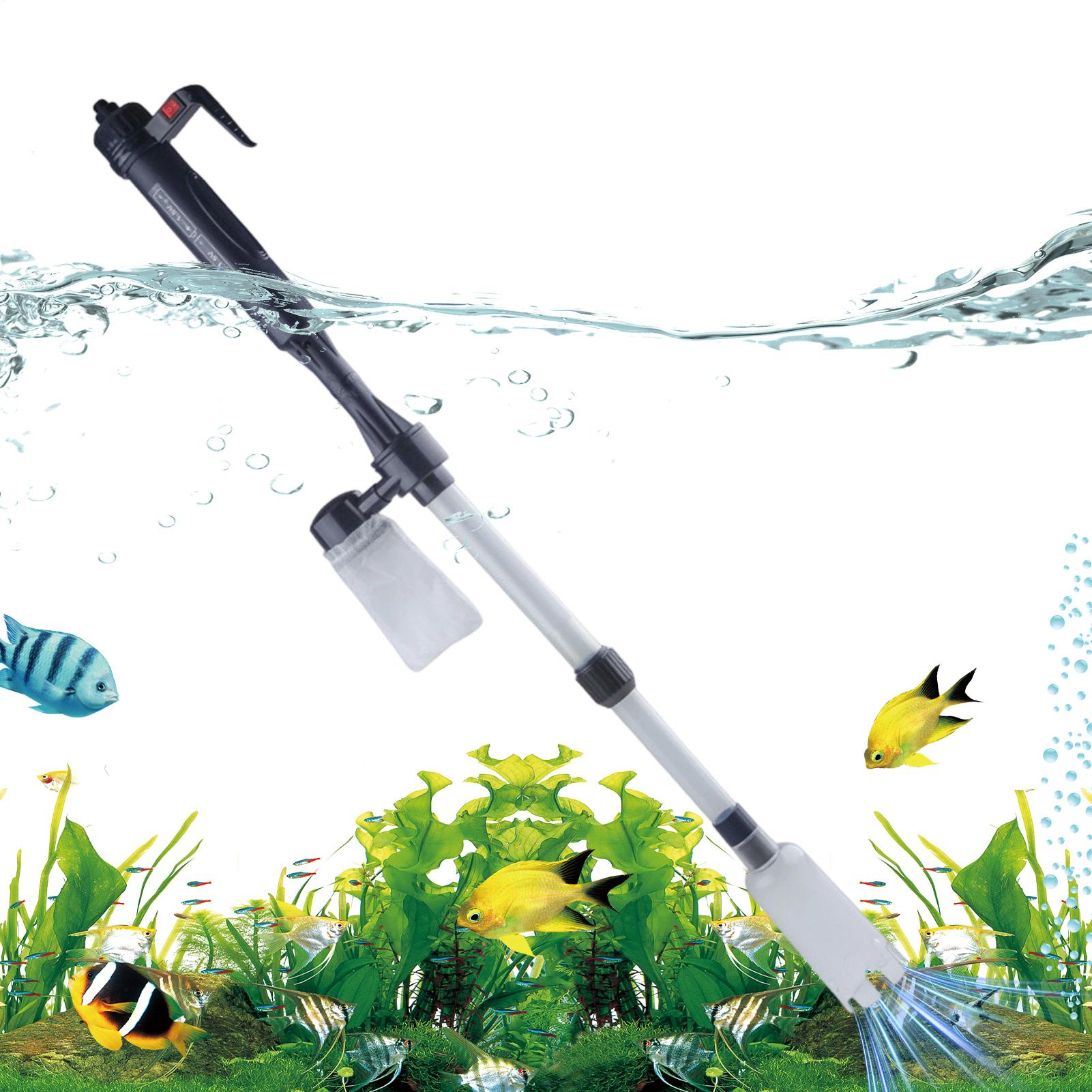 Горячая распродажа: Электричес – обзор и цена Aquarium Fish For Sale