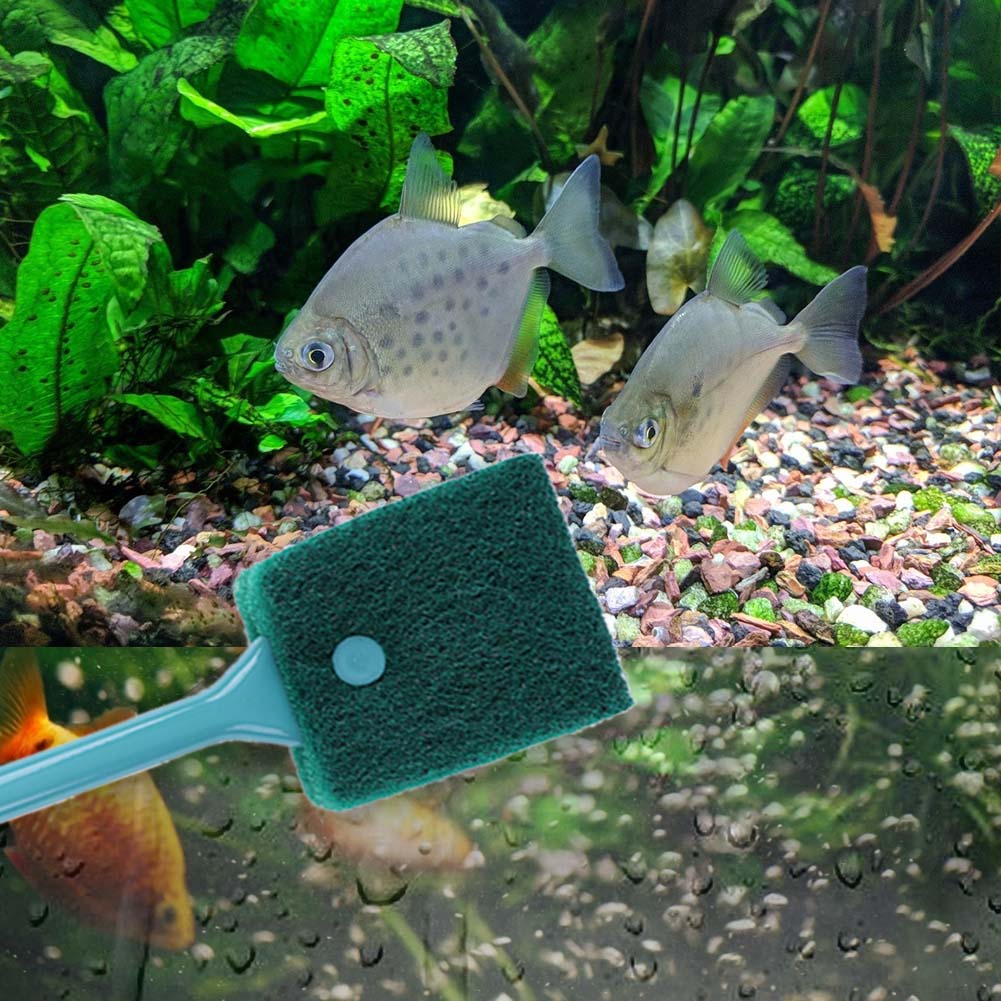 Двусторонняя губка для чистки  – обзор и цена Aquarium Fish Tank Cleaner