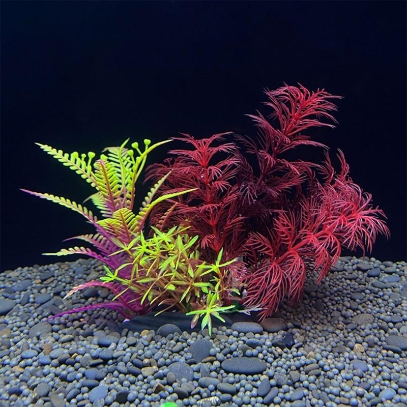 Искусственное украшение для ак – обзор и цена Aquarium Fish For Sale