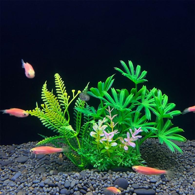 Искусственное украшение для ак – обзор и цена Aquarium Fish For Sale