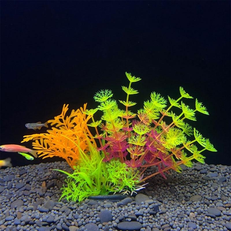 Искусственное украшение для ак – обзор и цена Aquarium Fish For Sale