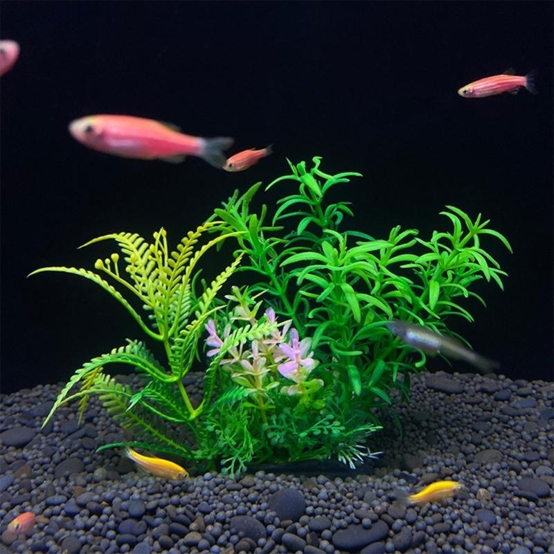 Искусственное украшение для ак – обзор и цена Aquarium Fish For Sale
