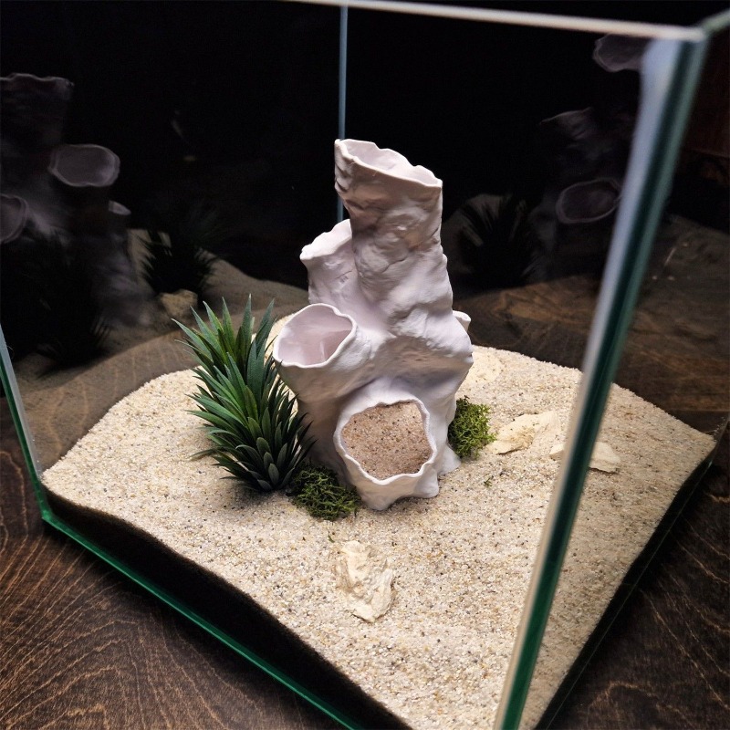 Горячая распродажа: 3D-печатны – обзор и цена Aquarium Fish For Sale