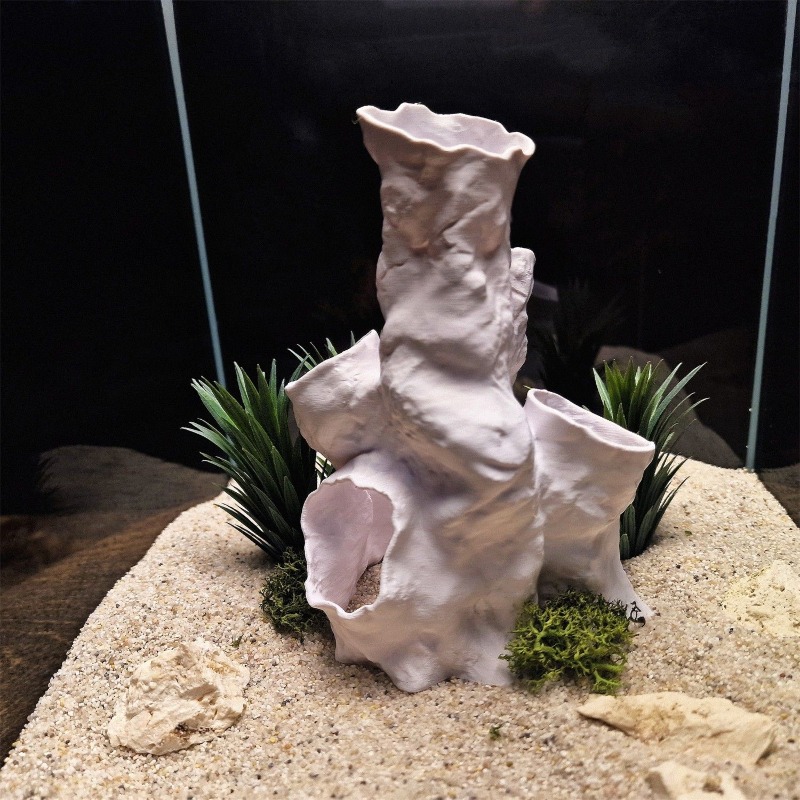 Горячая распродажа: 3D-печатны – обзор и цена Aquarium Fish For Sale