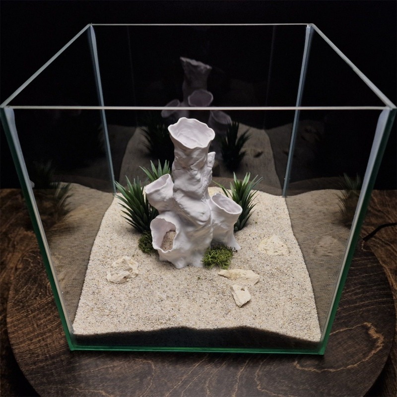 Горячая распродажа: 3D-печатны – обзор и цена Aquarium Fish For Sale