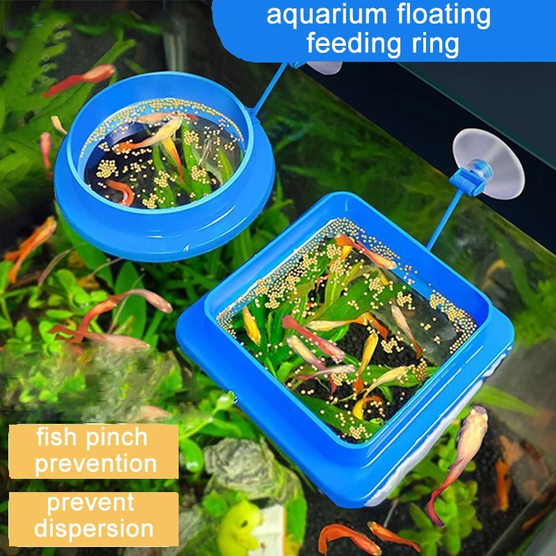 Плавающее кольцо-кормушка для  – обзор и цена Aquarium Fish Medicine