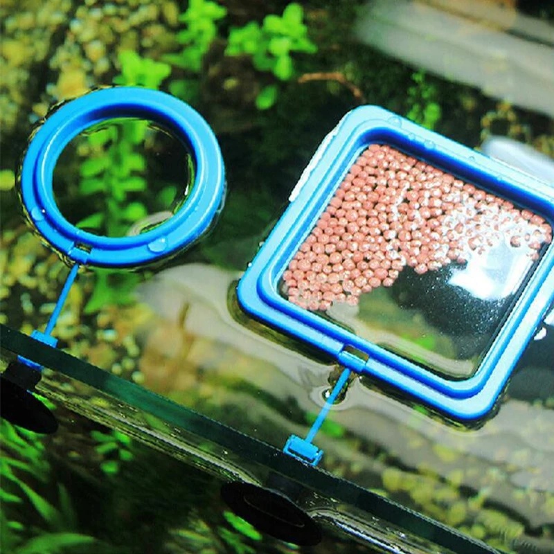 Плавающее кольцо-кормушка для  – обзор и цена Aquarium Fish Medicine