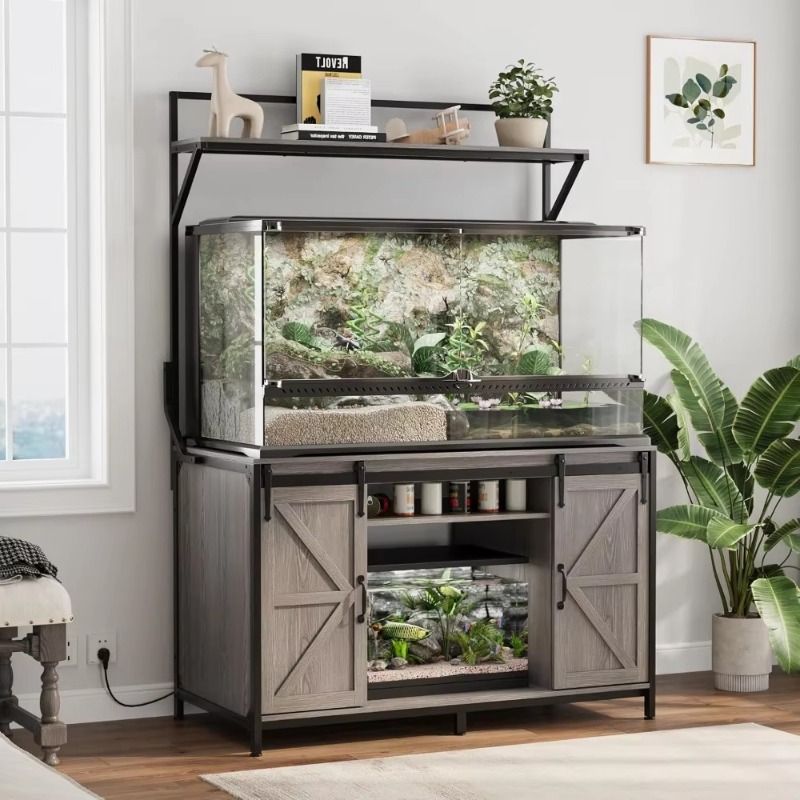 Прямые поставки с завода, тран – обзор и цена Aquarium Fish For Sale