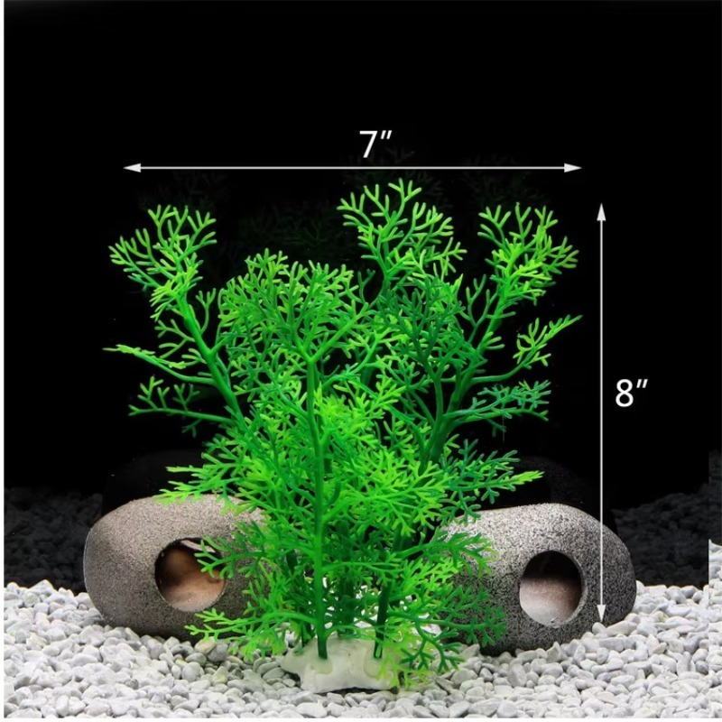 10 шт. Горячая новинка: пласти – обзор и цена Aquarium Fish For Sale