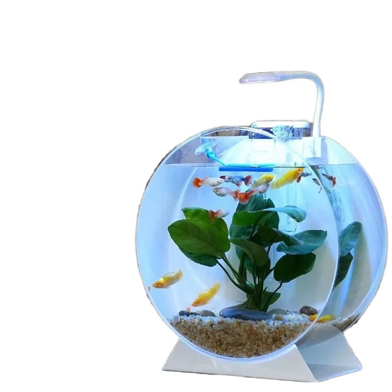 Лидер продаж, современные экол – обзор и цена Aquarium Fish For Sale