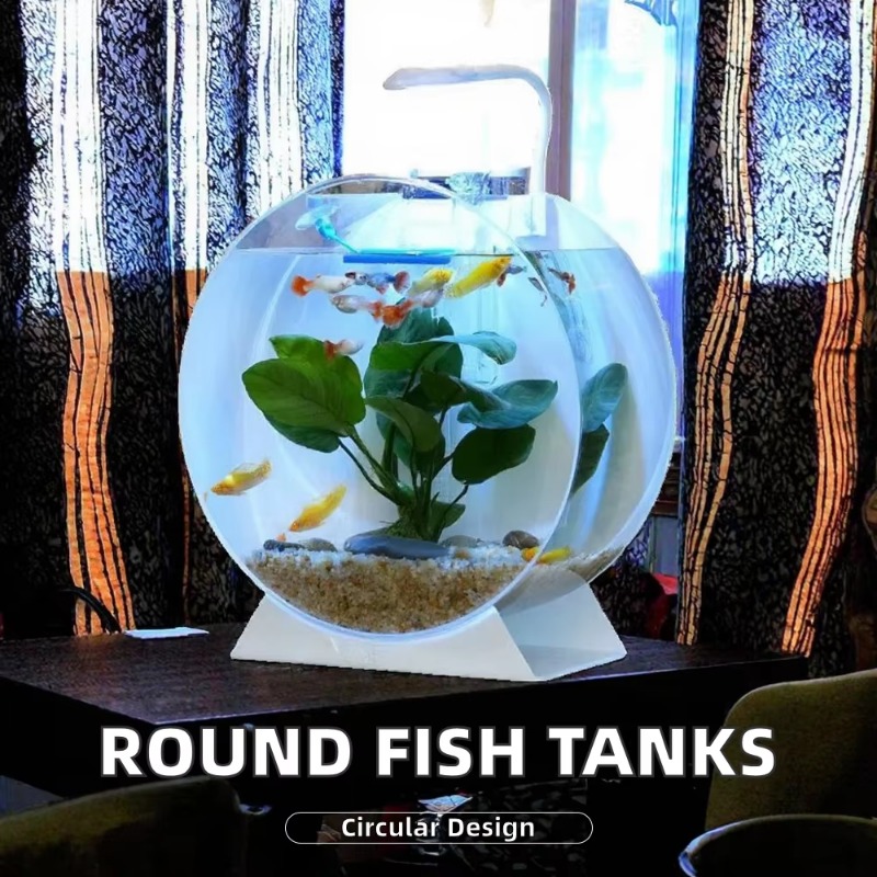 Лидер продаж, современные экол – обзор и цена Aquarium Fish For Sale