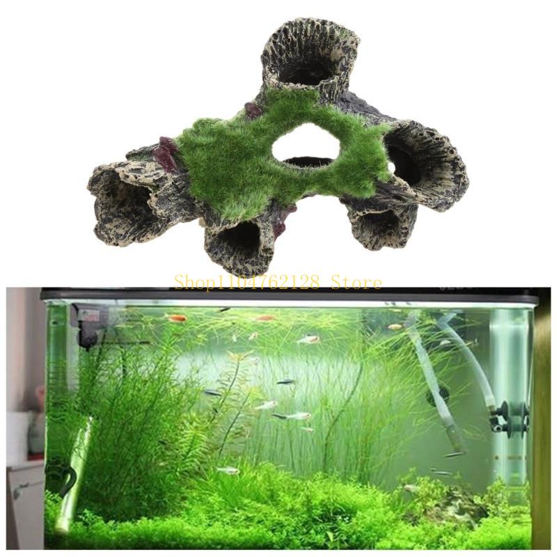 Рыба для украшения аквариума,  – обзор и цена Aquarium Fish For Sale