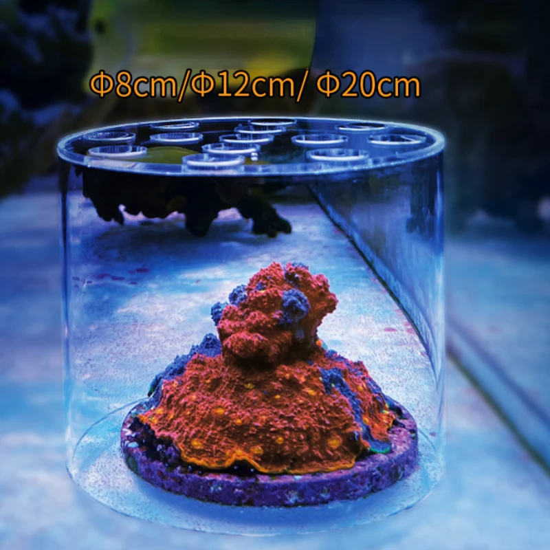 Вафтокеанский аквариум, акрило – обзор и цена Aquarium Fish Freshwater
