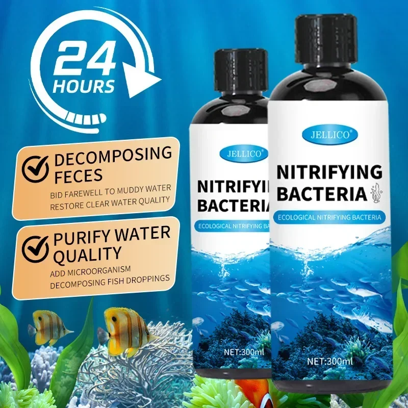 Нитрифицирующие бактерии, жидк – обзор и цена Aquarium Fish Medicine