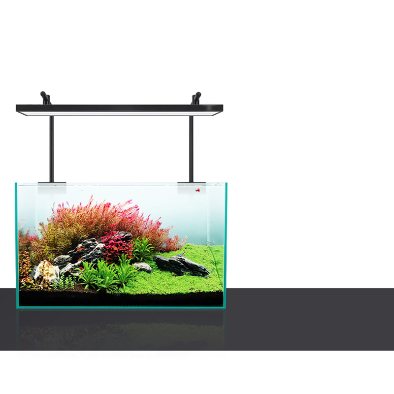 Светодиодное освещение 60 см 8 – обзор и цена Aquarium Fish For Sale