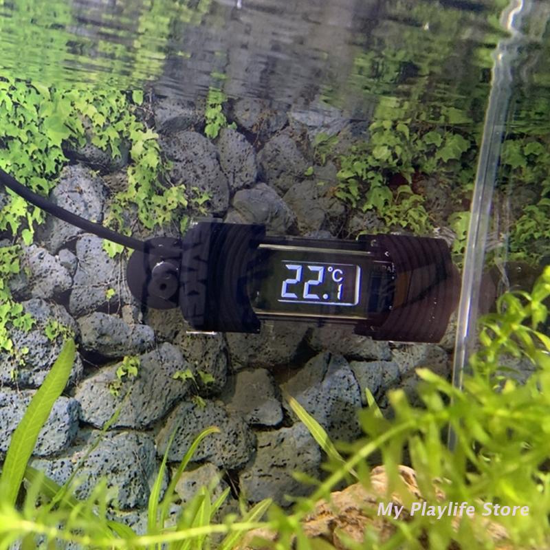 Цифровой погружной термометр д – обзор и цена Aquarium Fish Freshwater