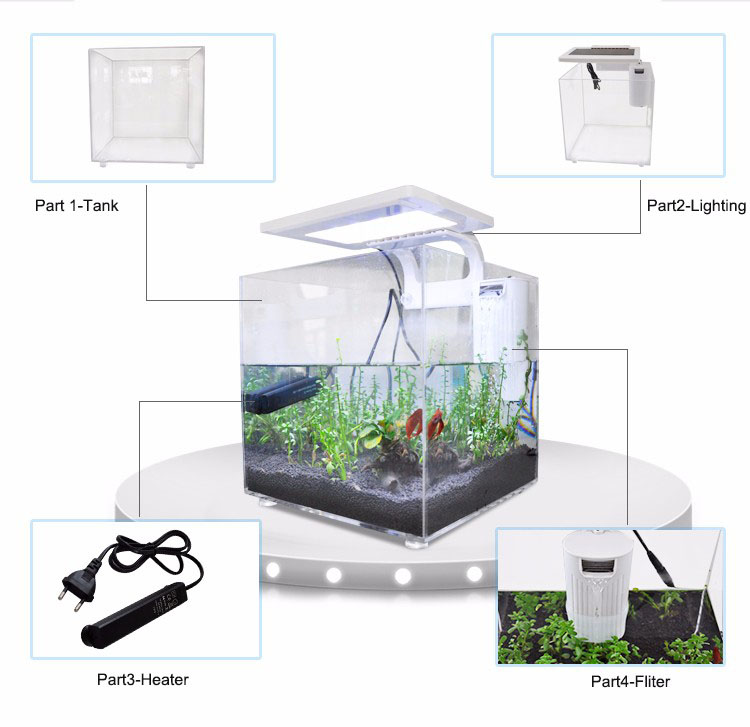 Мини-аквариум из акрила (25*25 – обзор и цена Aquarium Fish For Sale