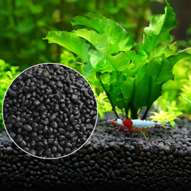 Семена аквариумных растений, п – обзор и цена Aquarium Fish Freshwater