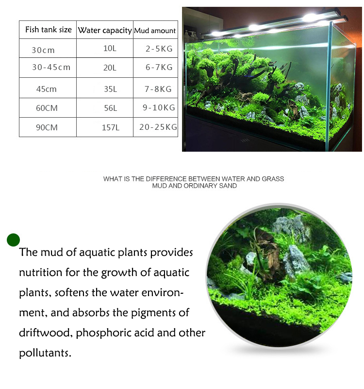Семена аквариумных растений, п – обзор и цена Aquarium Fish Freshwater
