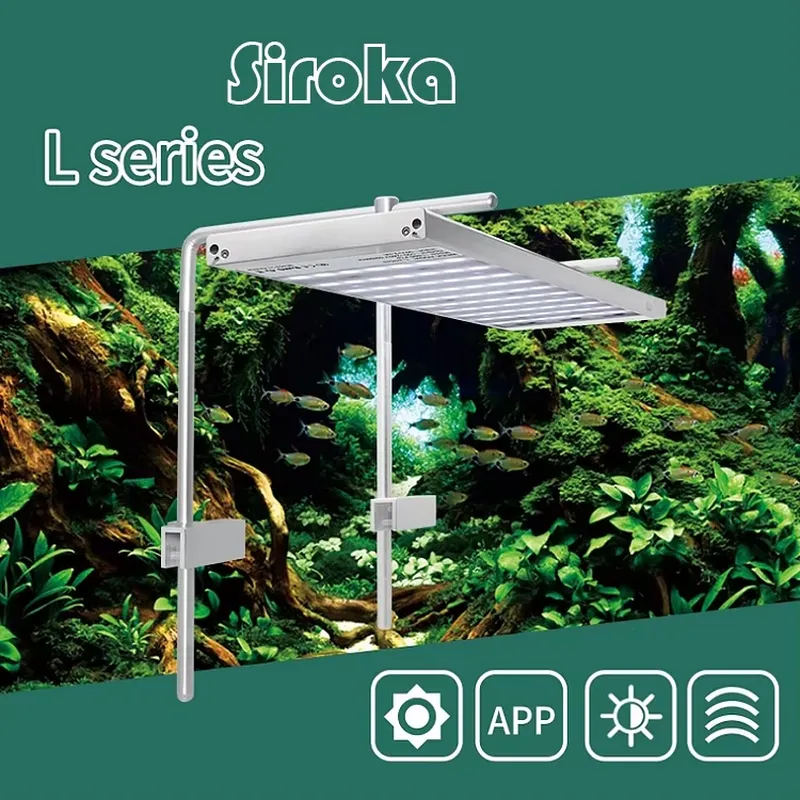 Горячая распродажа: Серебристы – обзор и цена Aquarium Fish For Sale