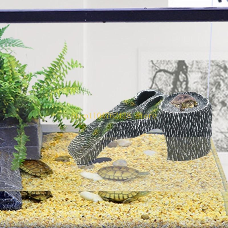Террариумы, платформа для купа – обзор и цена Aquarium Fish For Sale