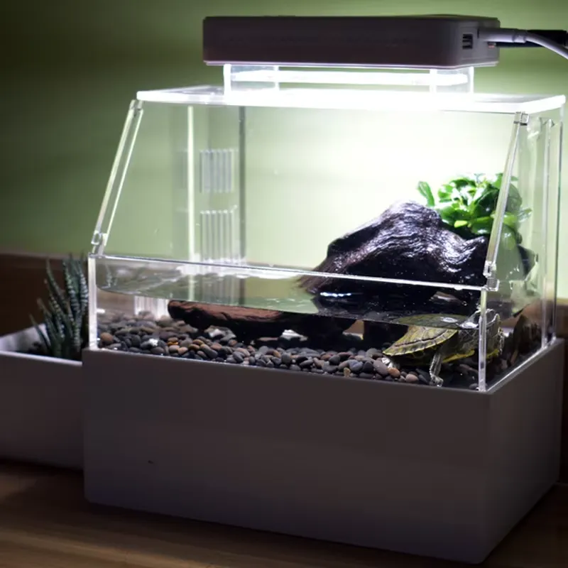 Настольный аквариум Relaxlines – обзор и цена Aquarium Fish For Sale