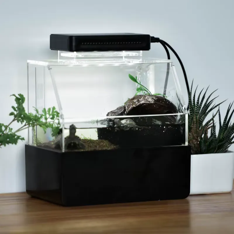 Настольный аквариум Relaxlines – обзор и цена Aquarium Fish For Sale