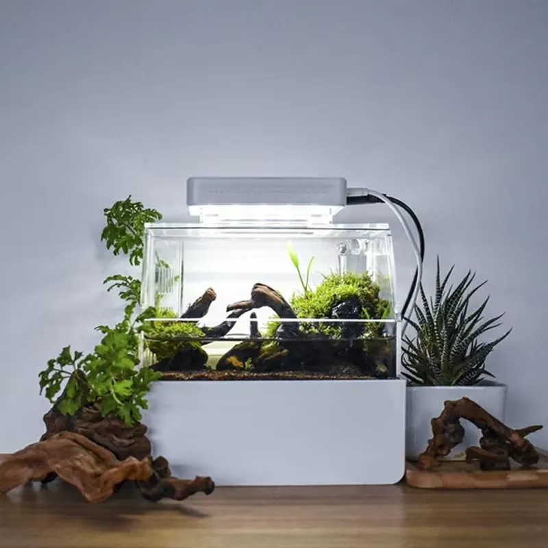 Настольный аквариум Relaxlines – обзор и цена Aquarium Fish For Sale