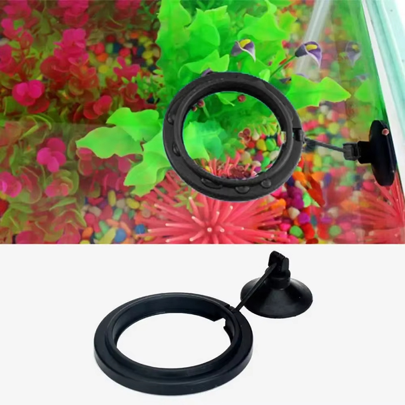 Кольцо для кормления аквариума – обзор и цена Aquarium Fish Medicine