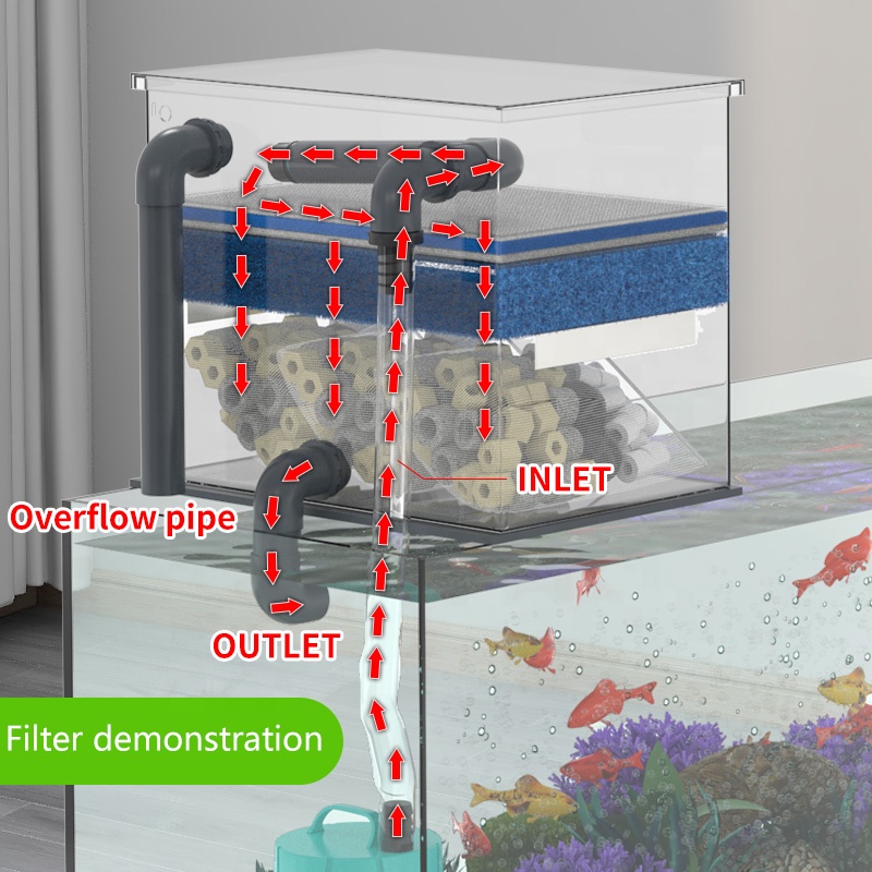 Прямые продажи с фабрики, филь – обзор и цена Aquarium Fish For Sale