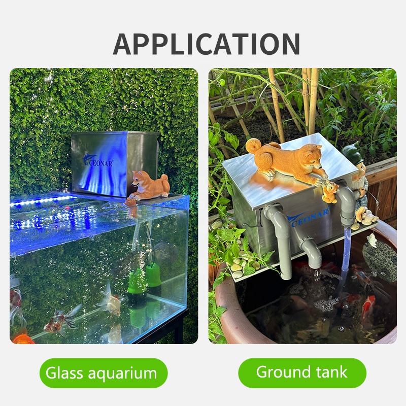 Прямые продажи с фабрики, филь – обзор и цена Aquarium Fish For Sale